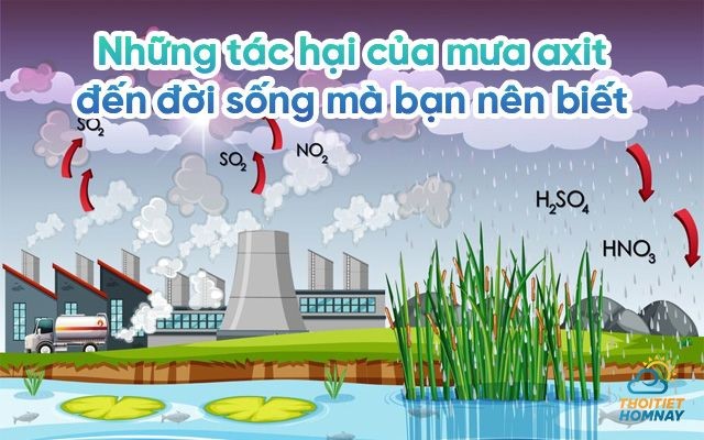Tác hại của mưa axit đến đời sống nghiêm trọng như thế nào?