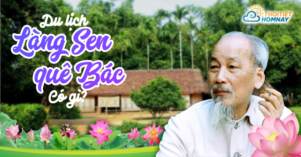 Kinh nghiệm du lịch làng sen quê Bác: Chơi gì? Ăn gì? Ở đâu? Kinh nghiệm du lịch làng sen quê Bác: Chơi gì? Ăn gì? Ở đâu?
