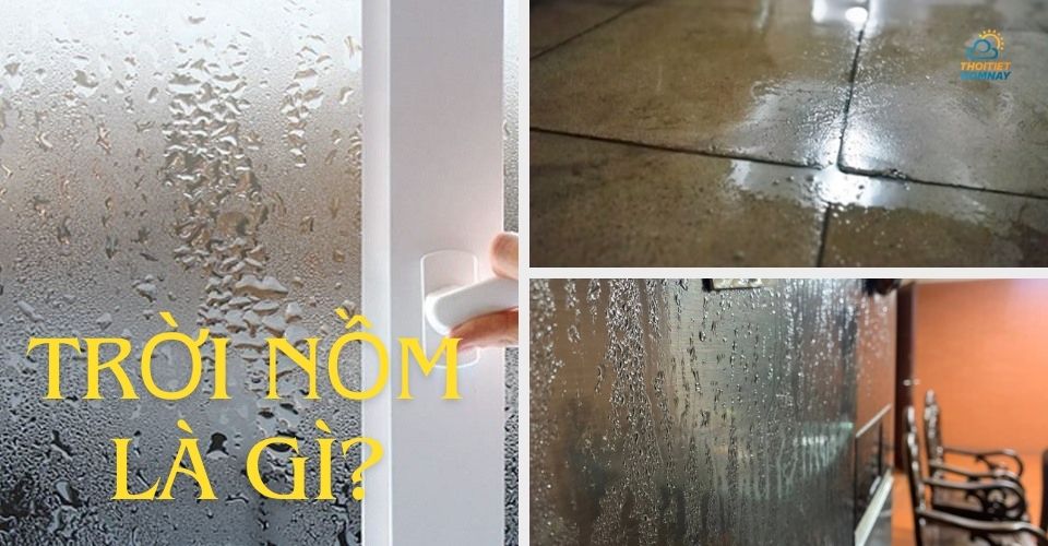 Trời nồm là gì? Cách khắc phục trời nồm ẩm mốc hiệu quả bất ngờ Trời nồm là gì? Cách khắc phục trời nồm ẩm mốc hiệu quả bất ngờ